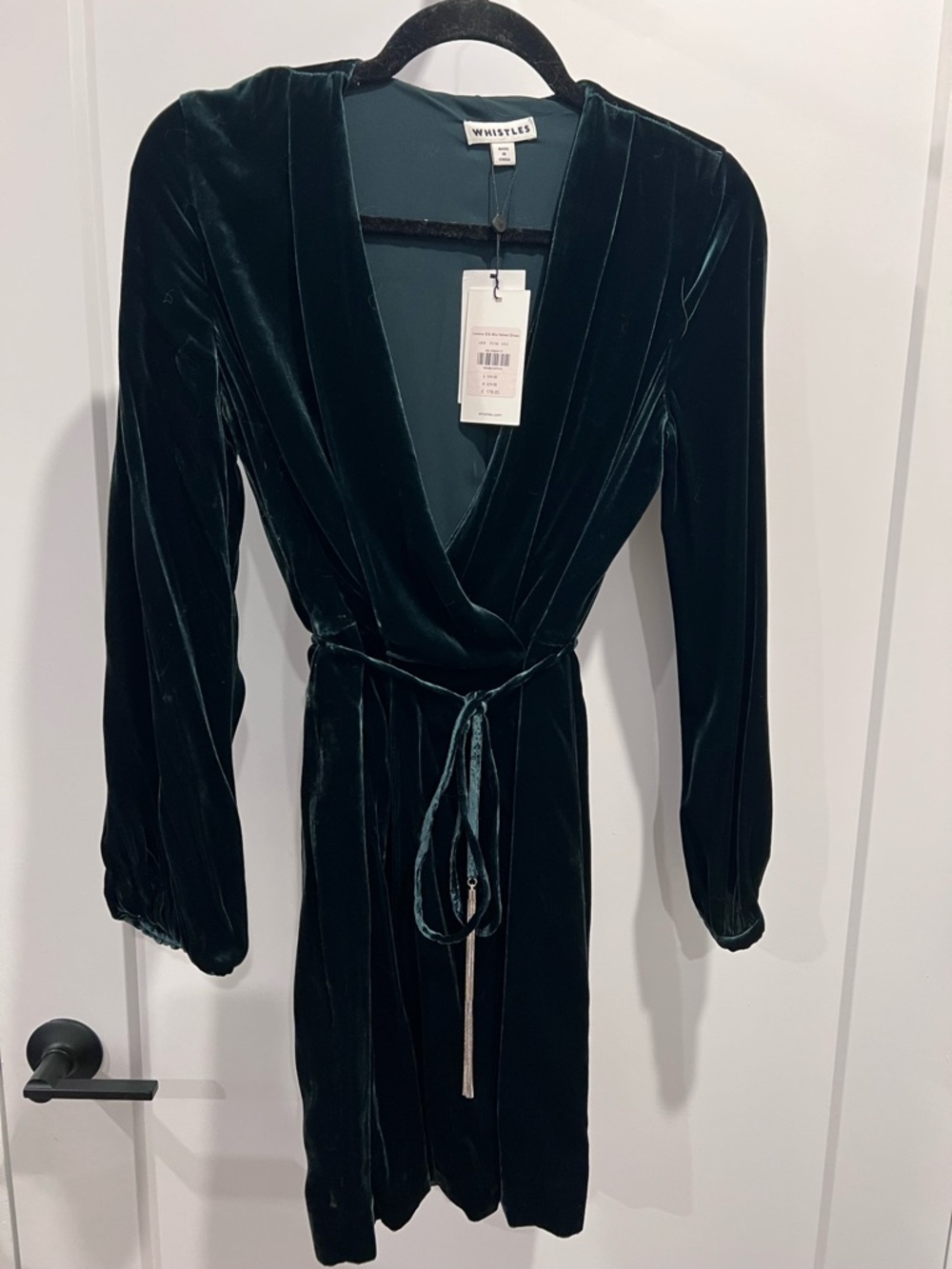 Whistles Teal Velvet Dress